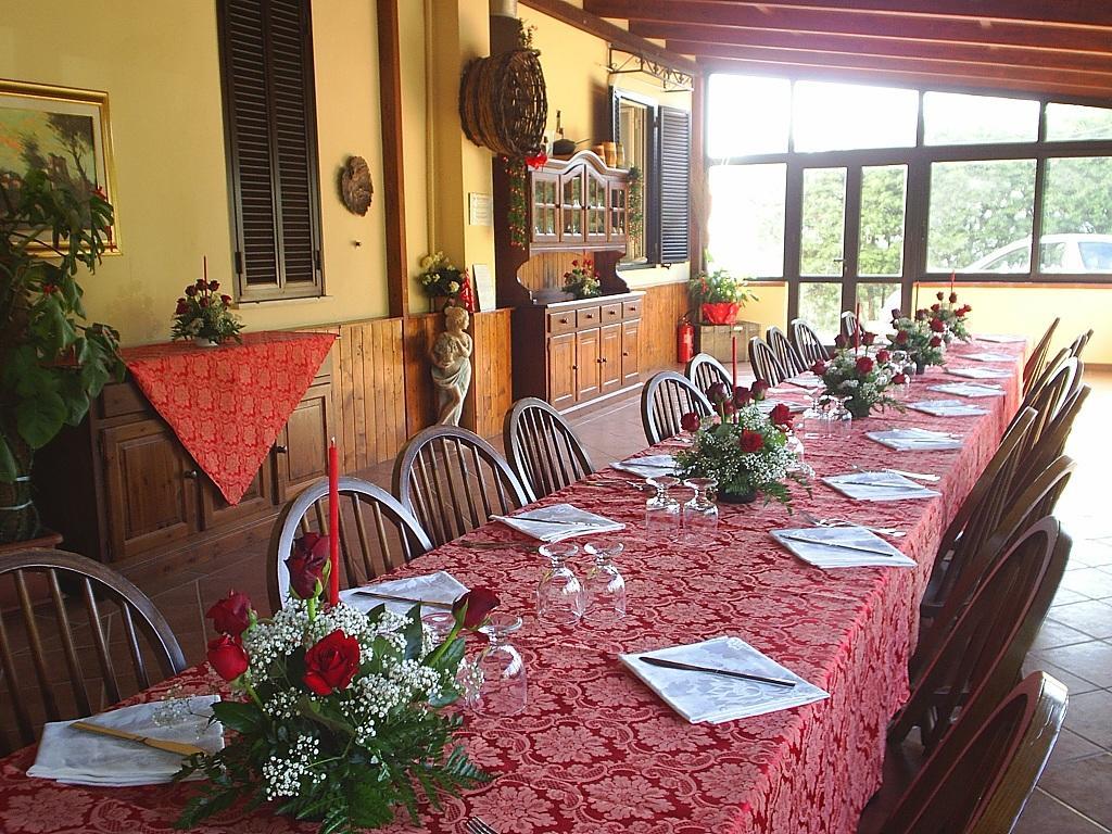 Agriturismo Aurella Ascea Exterior photo
